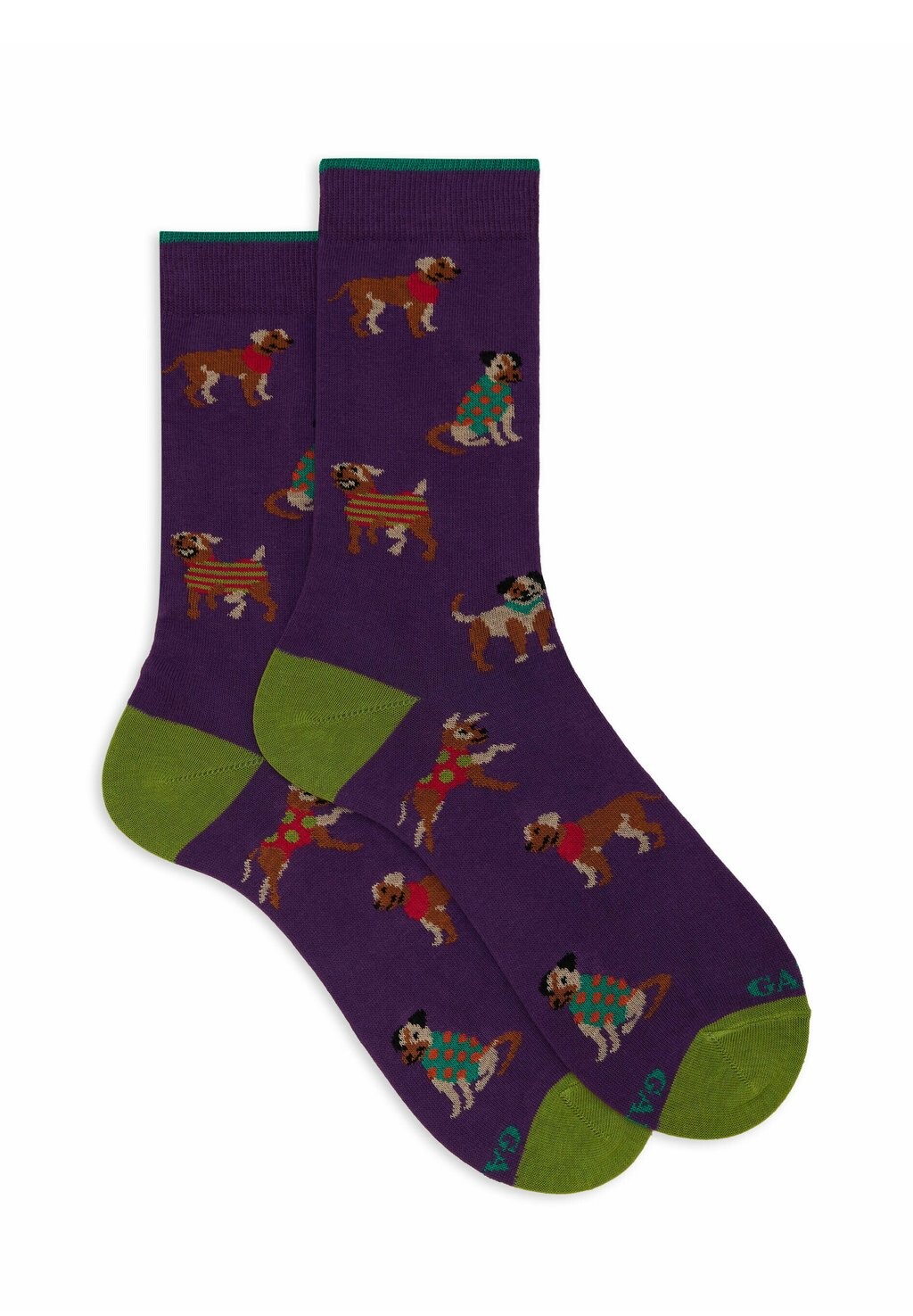 

Носки WITH DOG MOTIF Gallo, фиолетовый