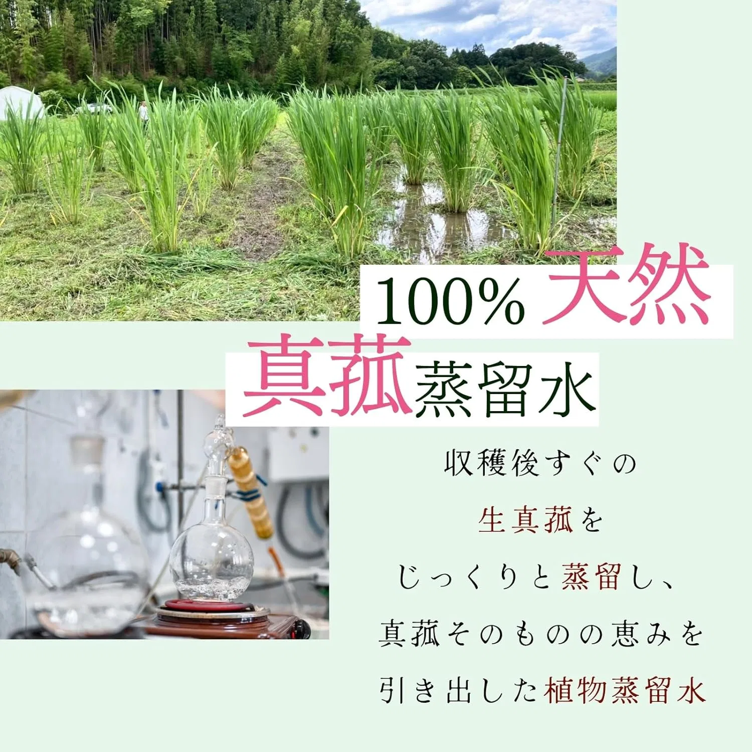 Тоник — Straw Mat JAPAN Pure Distilled Water, 100 мл — фото 3