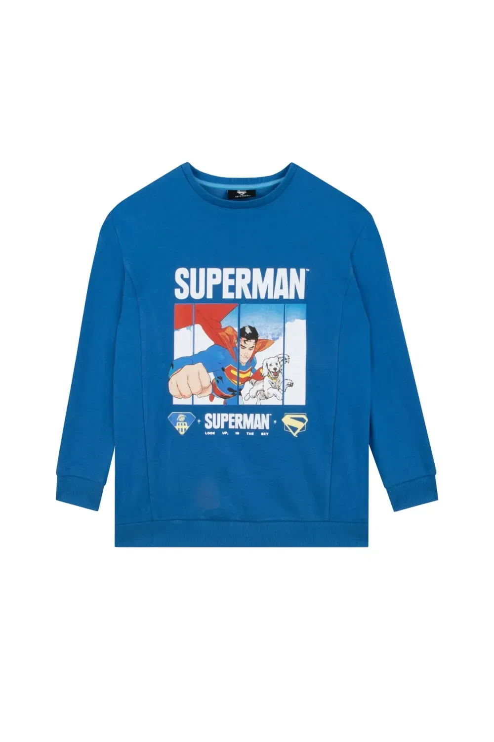 Свитер Superman для мальчиков DC Comics синий, синий
