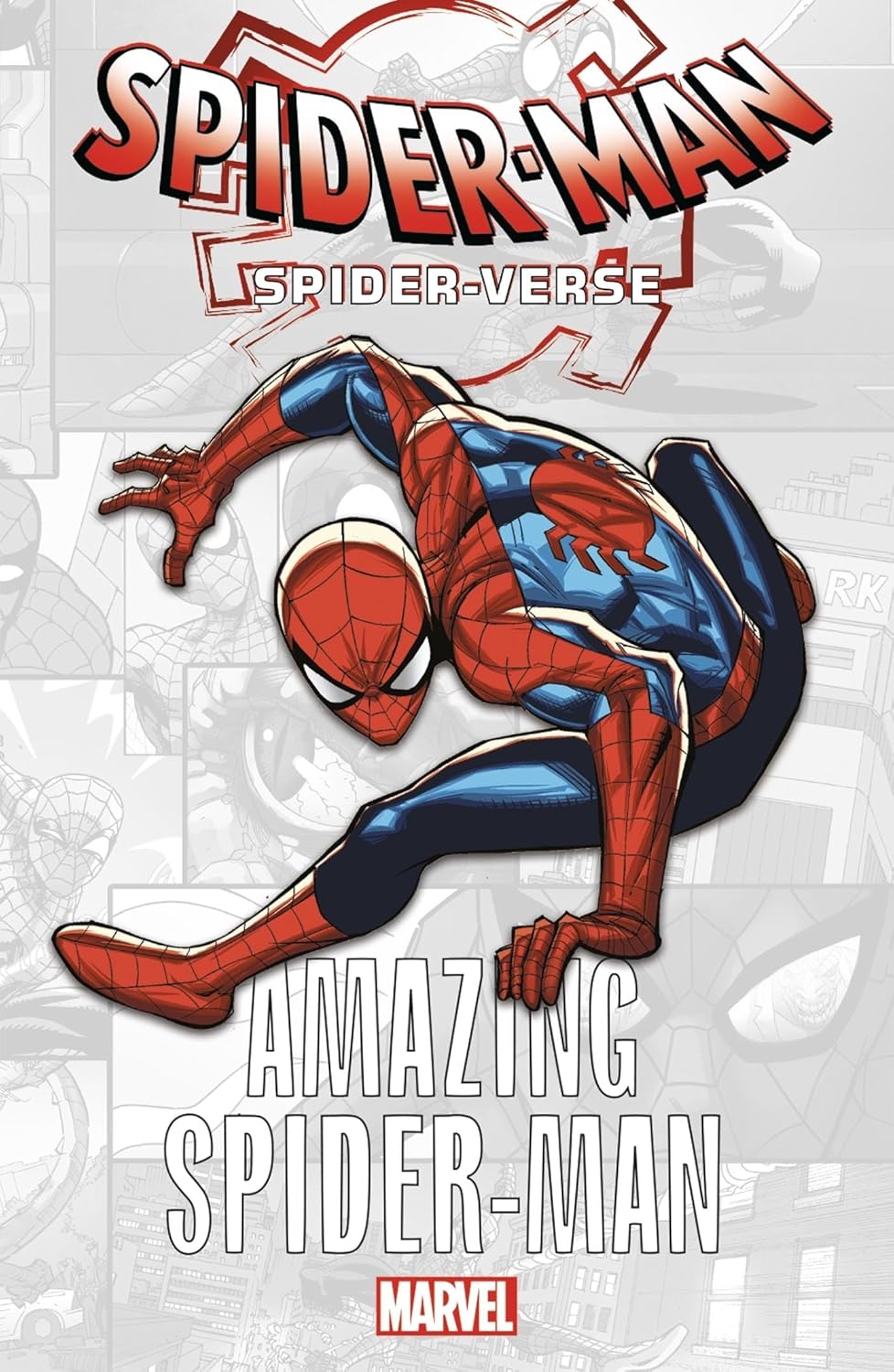 

Marvel-Verse : Amazing Spider-Man (PANINI)