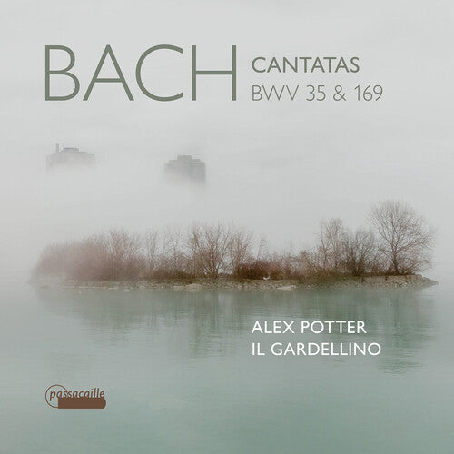 

CD диск Bach, J.S. / Potter / Doeselaar: Bach Cantatas Bwv 35 & 169