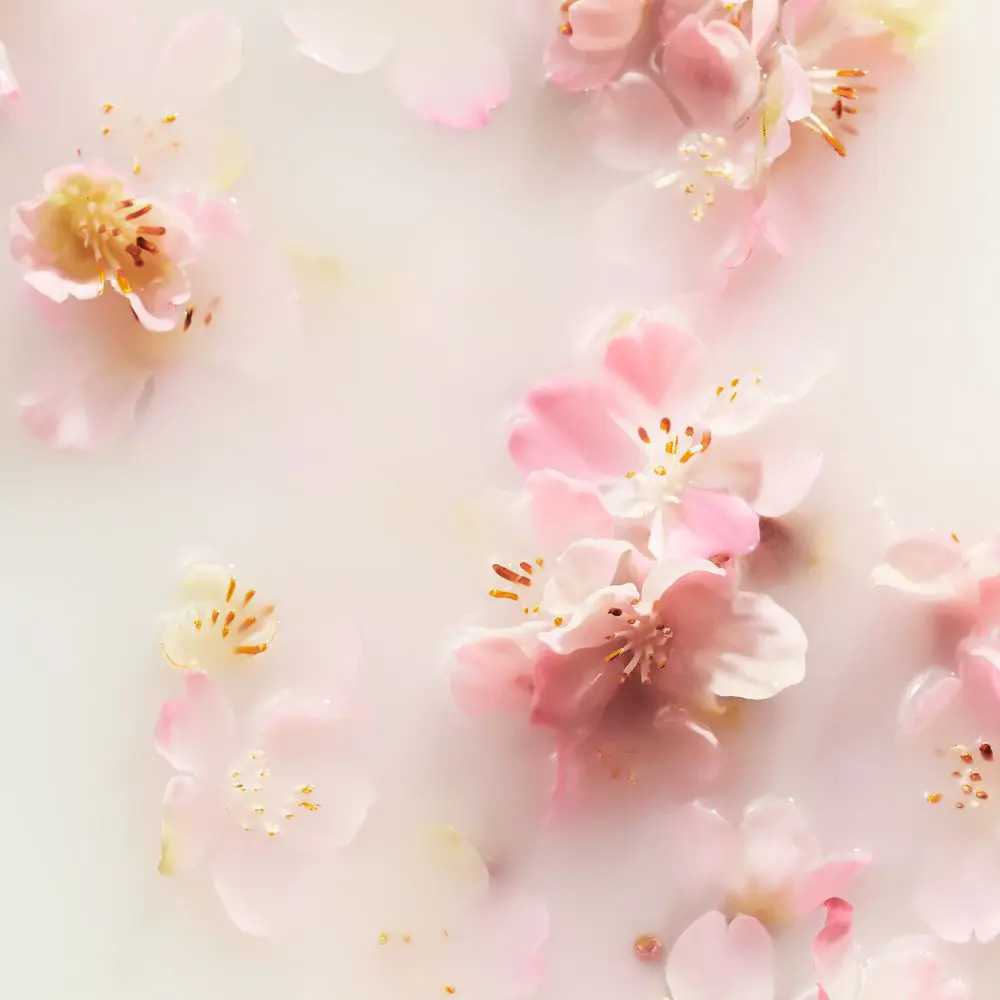 Пенящийся гель для душа The Ritual of Sakura, 200 мл — фото 2