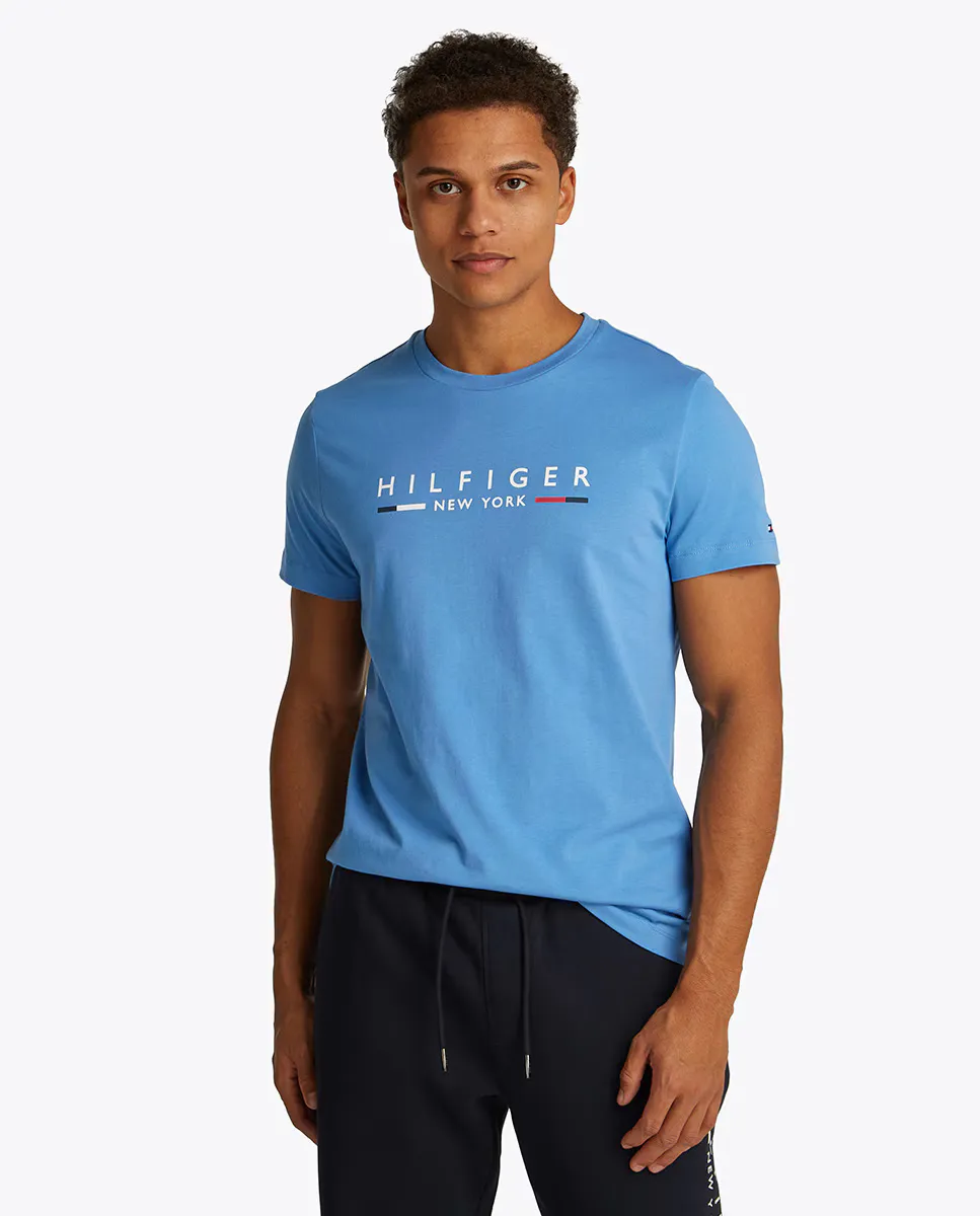

Мужская футболка с напечатанным брендингом Tommy Hilfiger, синий