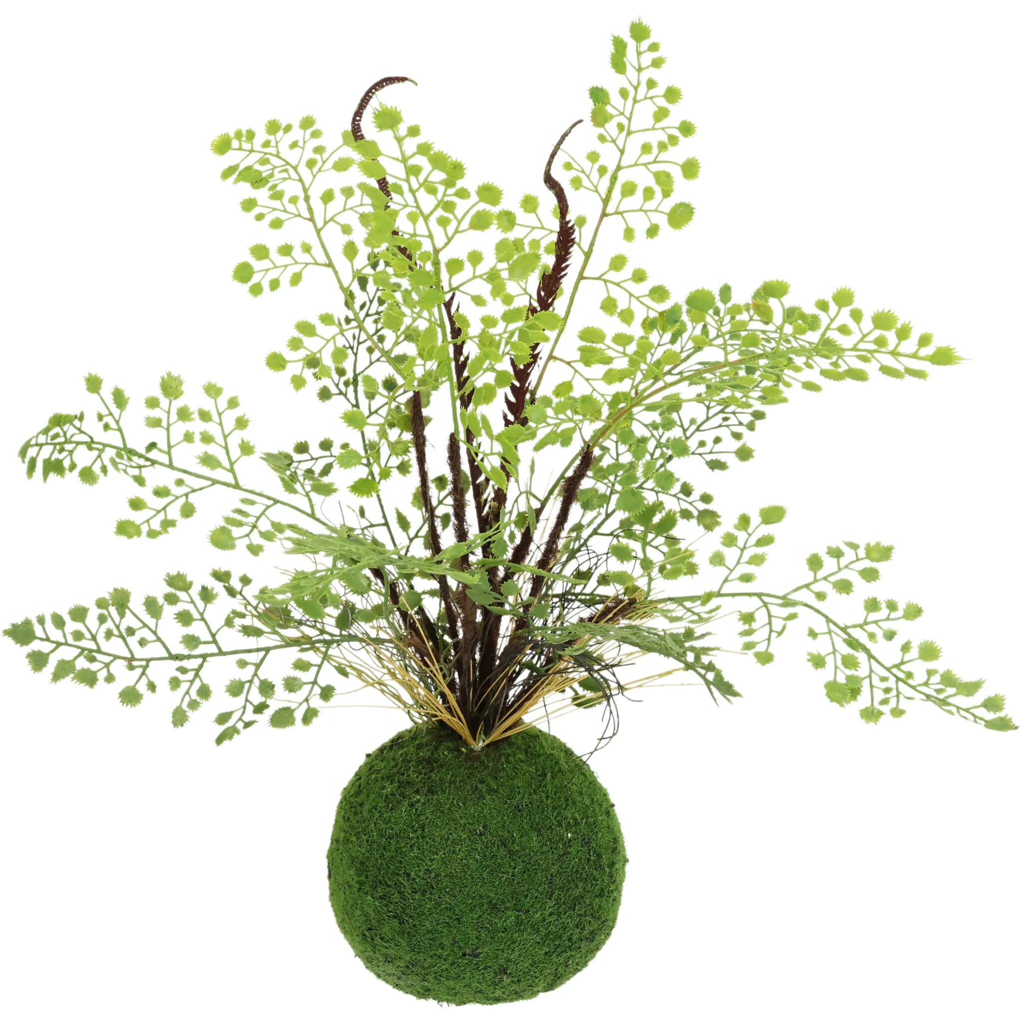 

И.ГЕ.А. Искусственное растение «Куст папоротника на моховом комке», искусственное растение лесной папоротник I.Ge.A., зеленый