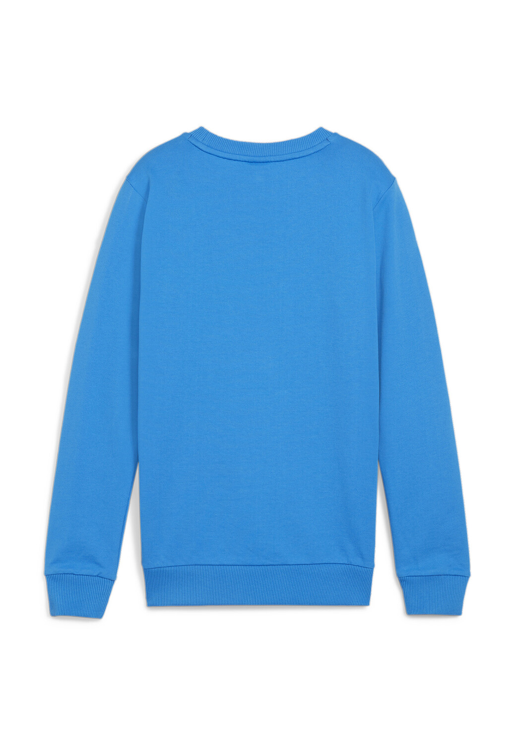 Толстовка Puma teamGOAL Casuals Crew Neck Sweat Jr, синий — фото 2