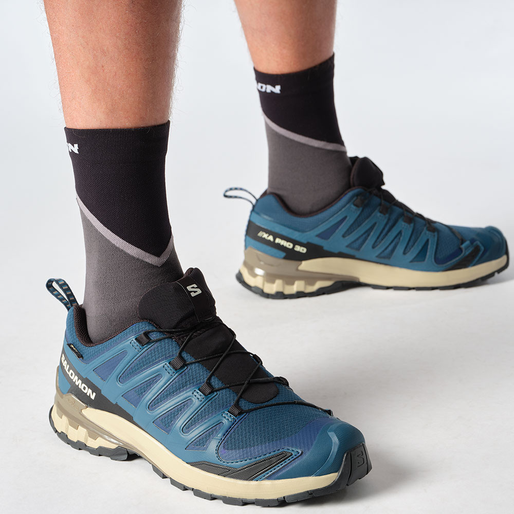 Кроссовки для трейлраннинга Salomon XA Pro 3D V9 GORE-TEX (мужские), Poseidon/Icicle/Alloy — фото 4