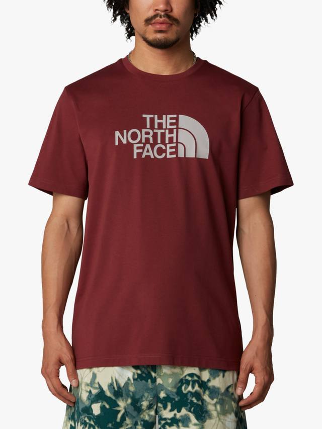 

Легкая футболка с логотипом regular fit из хлопчатобумажной смеси с коротким рукавом The North Face, цвет Sumac-moonstone Grey