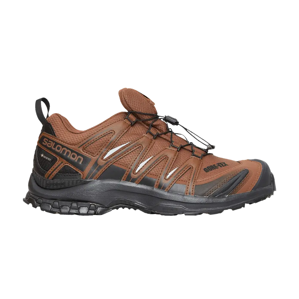 Кроссовки and wander x XA Pro 3D GORE-TEX Salomon, коричневый