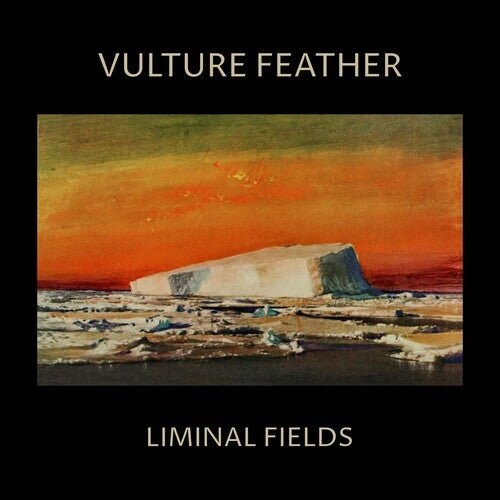 

Виниловая пластинка Vulture Feather - Vulture Feather - Bone