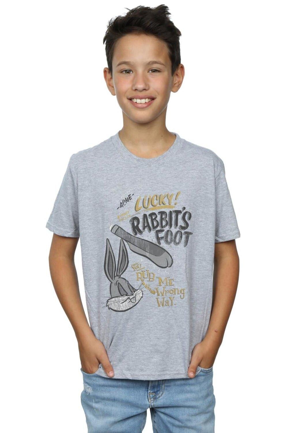 

Футболка Bugs Bunny Rub Me The Wrong Way Looney Tunes, серый
