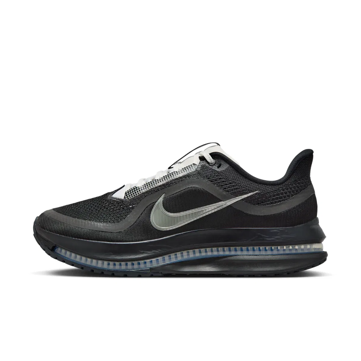 Мужские кроссовки Pegasus Premium SP Nike, черный