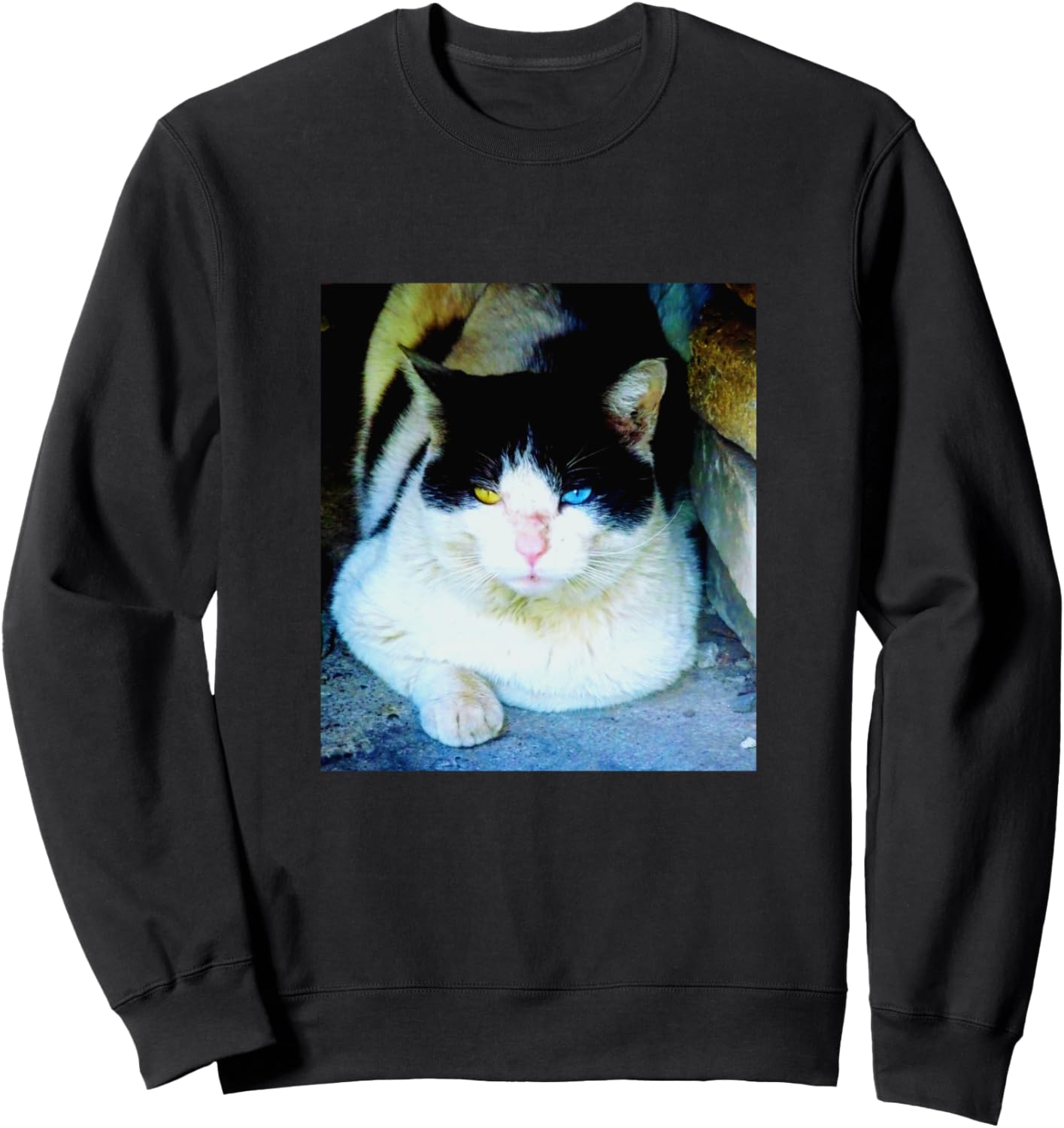

Толстовка с изображением бездомной кошки с разноцветными глазами Site Bay Clothes