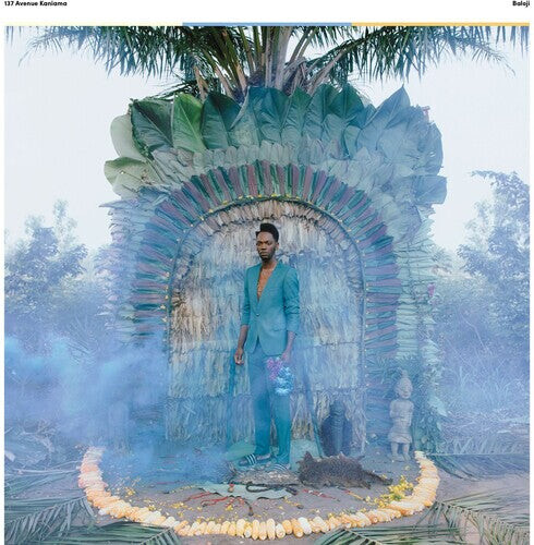 

CD диск Baloji: 137 Avenue Kaniama