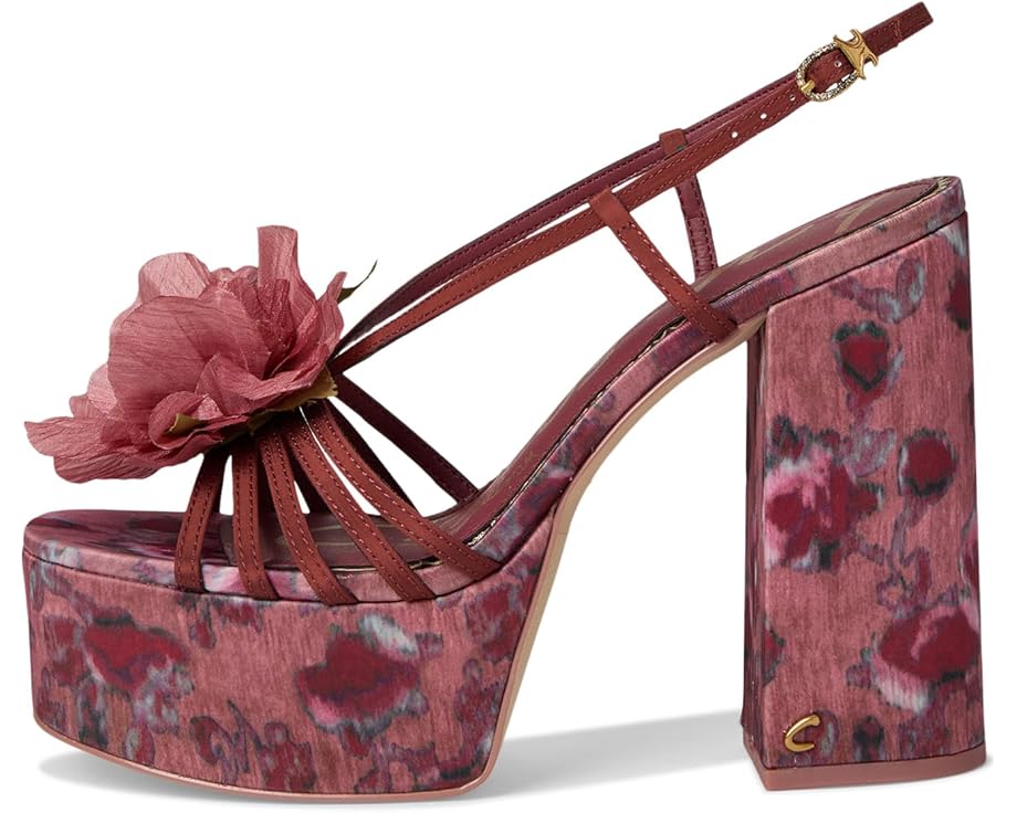 Туфли Circus NY by Sam Edelman Siena Flower, цвет Spiced Merlot Multi — фото 4