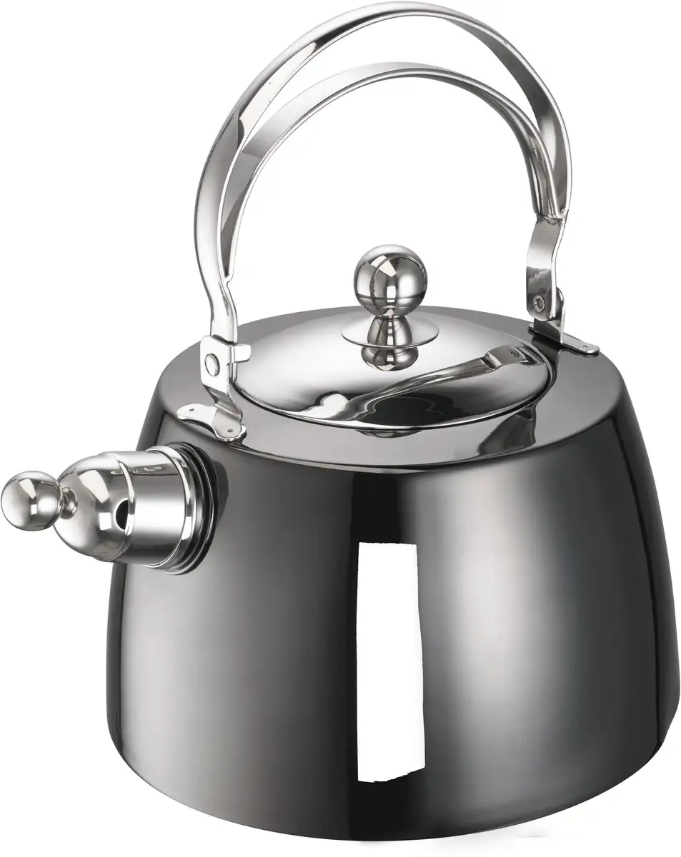 

Чайник SCHULTE-UFER "Луи", нержавеющая сталь 18/10, (1 шт.), 2 литра, индукционный 2 л + Ø 20 см, цвет anthrazit/edelstahlfarben