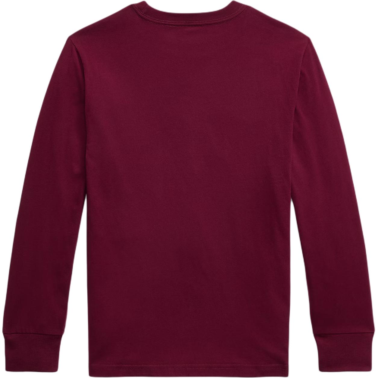 Футболка FW25 Kids' Polo Ralph Lauren, burgundy — фото 2