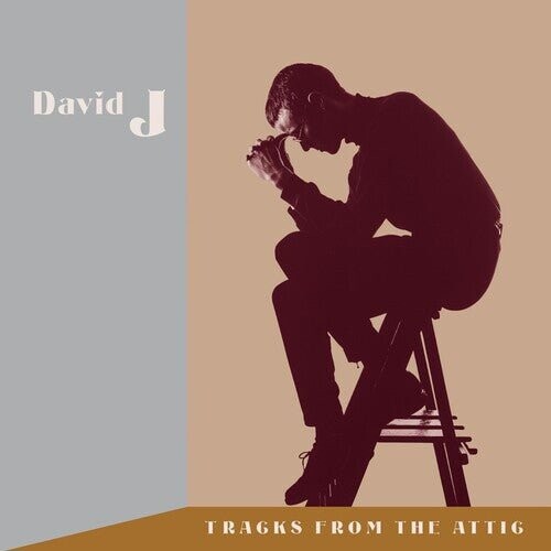 

Виниловая пластинка David J - Tracks From The Attic