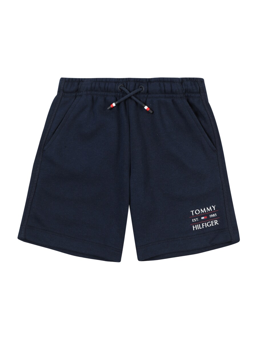 

Обычные брюки TOMMY HILFIGER, темно-синий