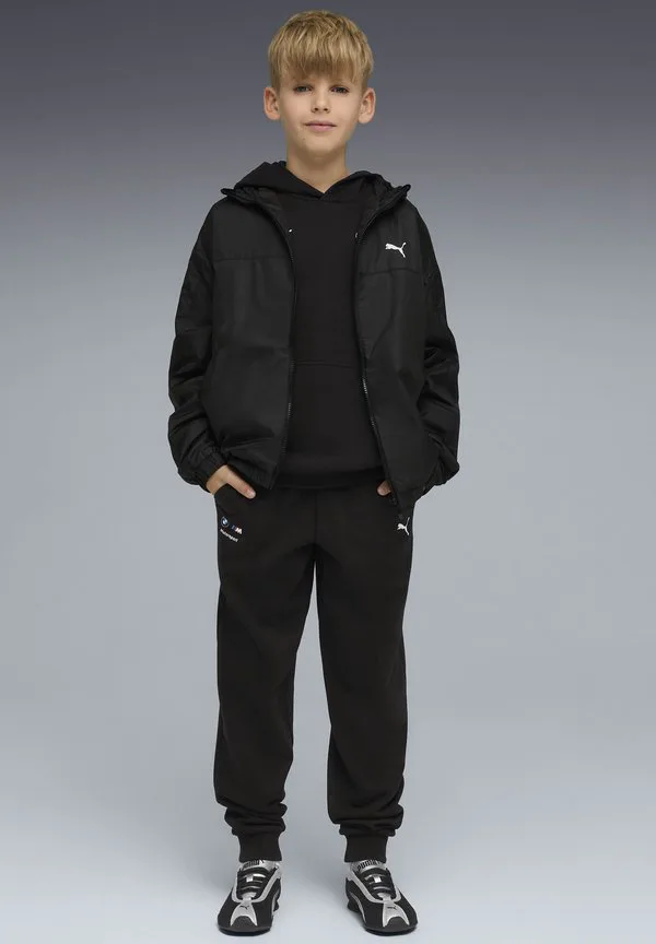 Брюки от спортивного костюма bmw mms ess Puma, Puma Black