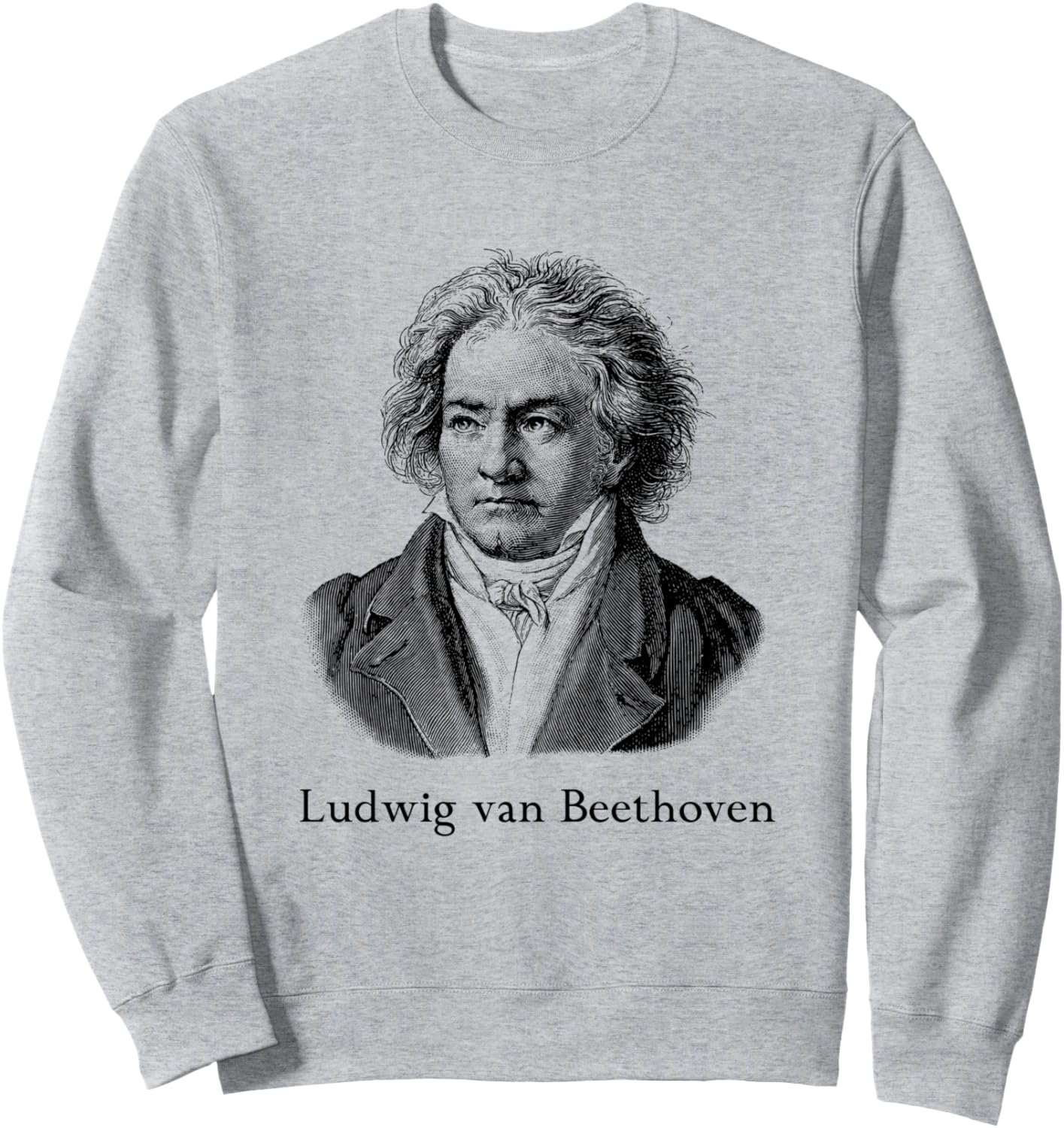 

Толстовка с изображением Бетховена, толстовка Людвига ван Бетховена, серая Famous Figures In History