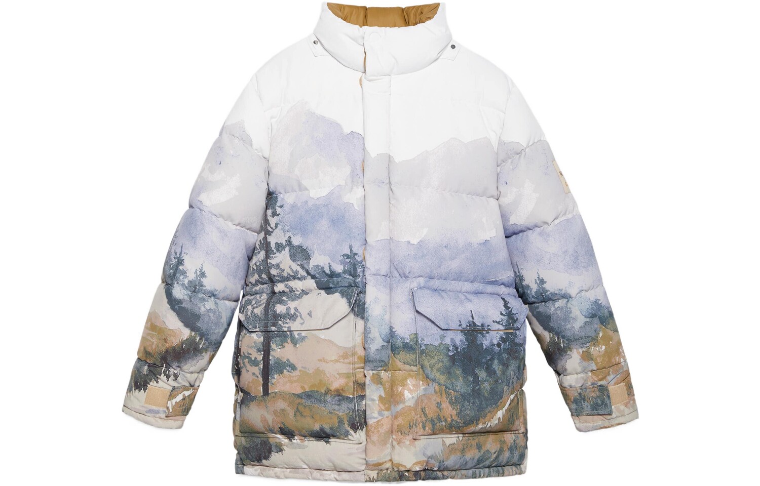 Пуховик The North Face x Gucci мужской, multicolor — фото 2