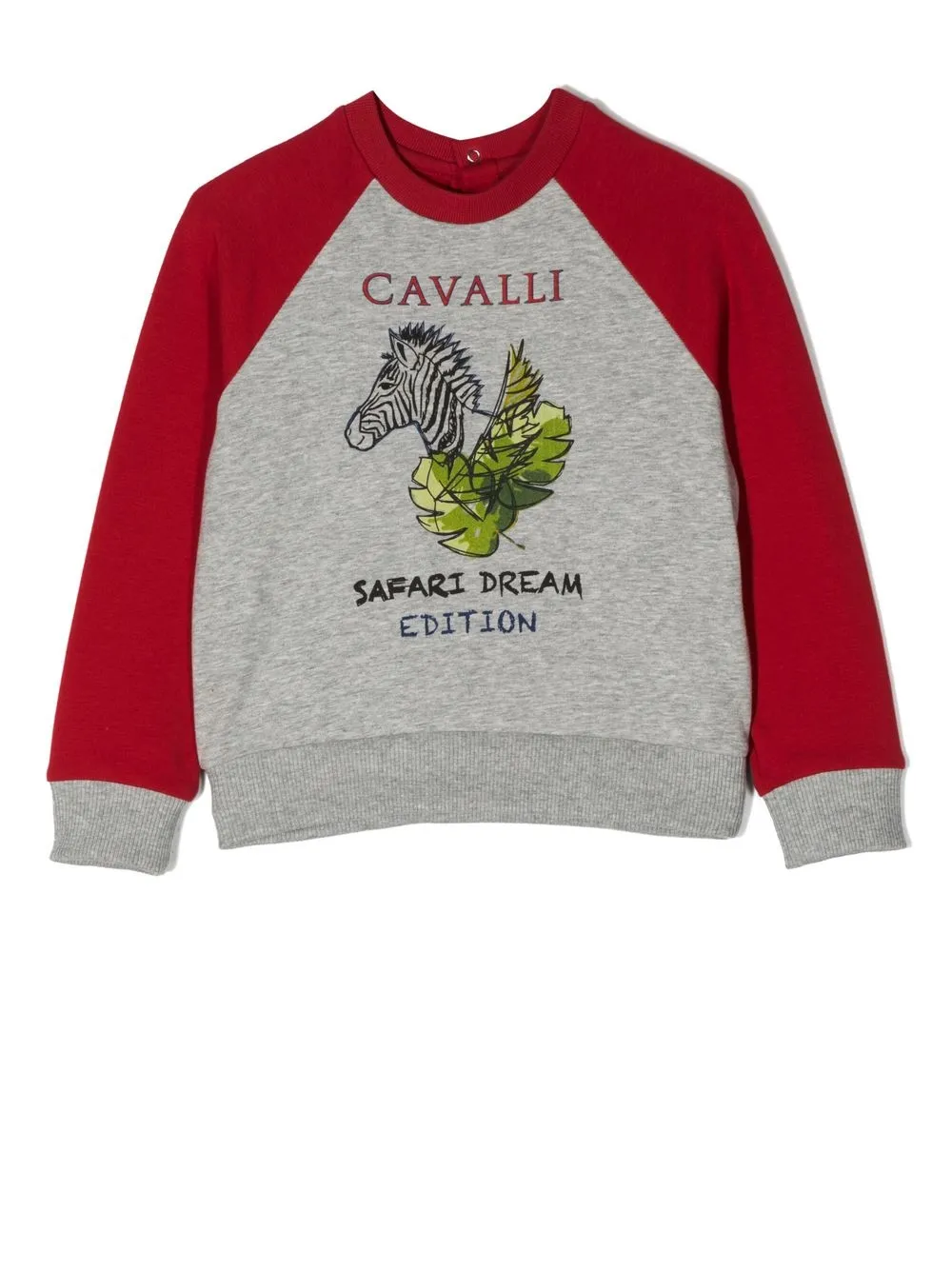

Толстовка с графичным принтом Roberto Cavalli Junior, красный