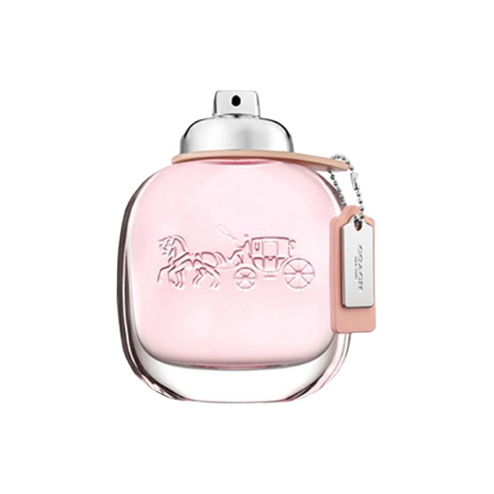 

COACH Нью-Йорк, Misty Rose, Homonymous женские духи парфюмерная композиция туалетная вода 30мл/50мл/90мл