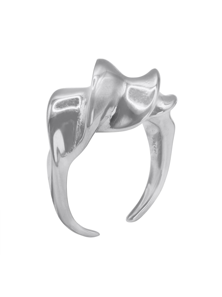 

Steel_Art Крупное кольцо для женщин, Плиний, серебристого цвета, полированное, серебристого цвета