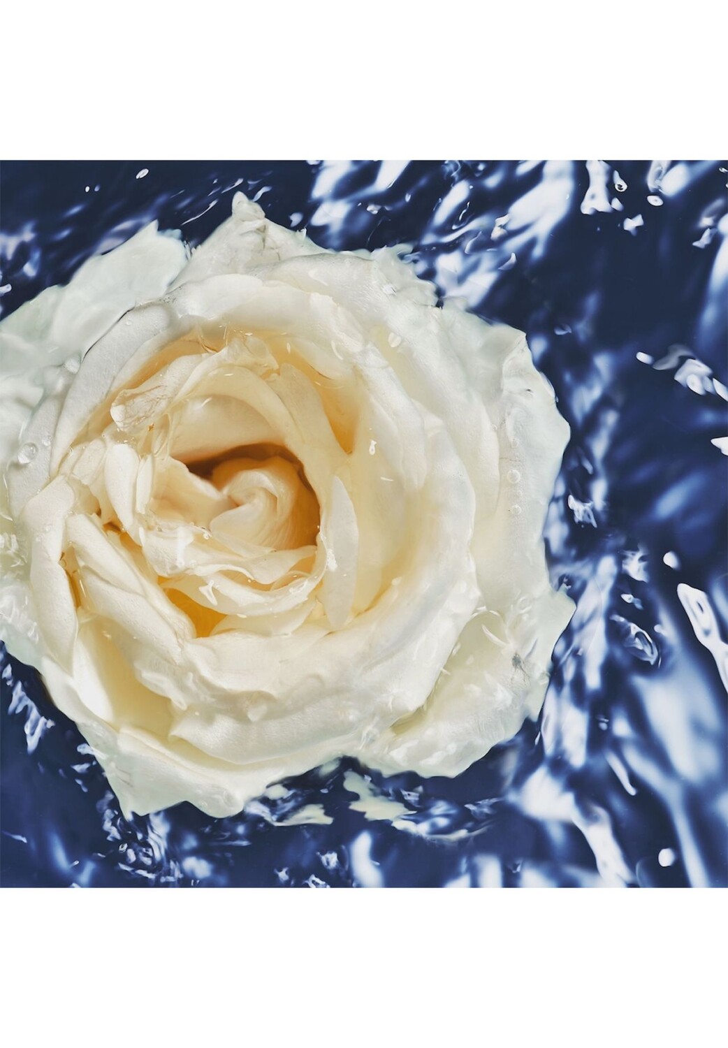 Woman Oceanic Edition, Туалетная вода 100ml DAVIDOFF — фото 4