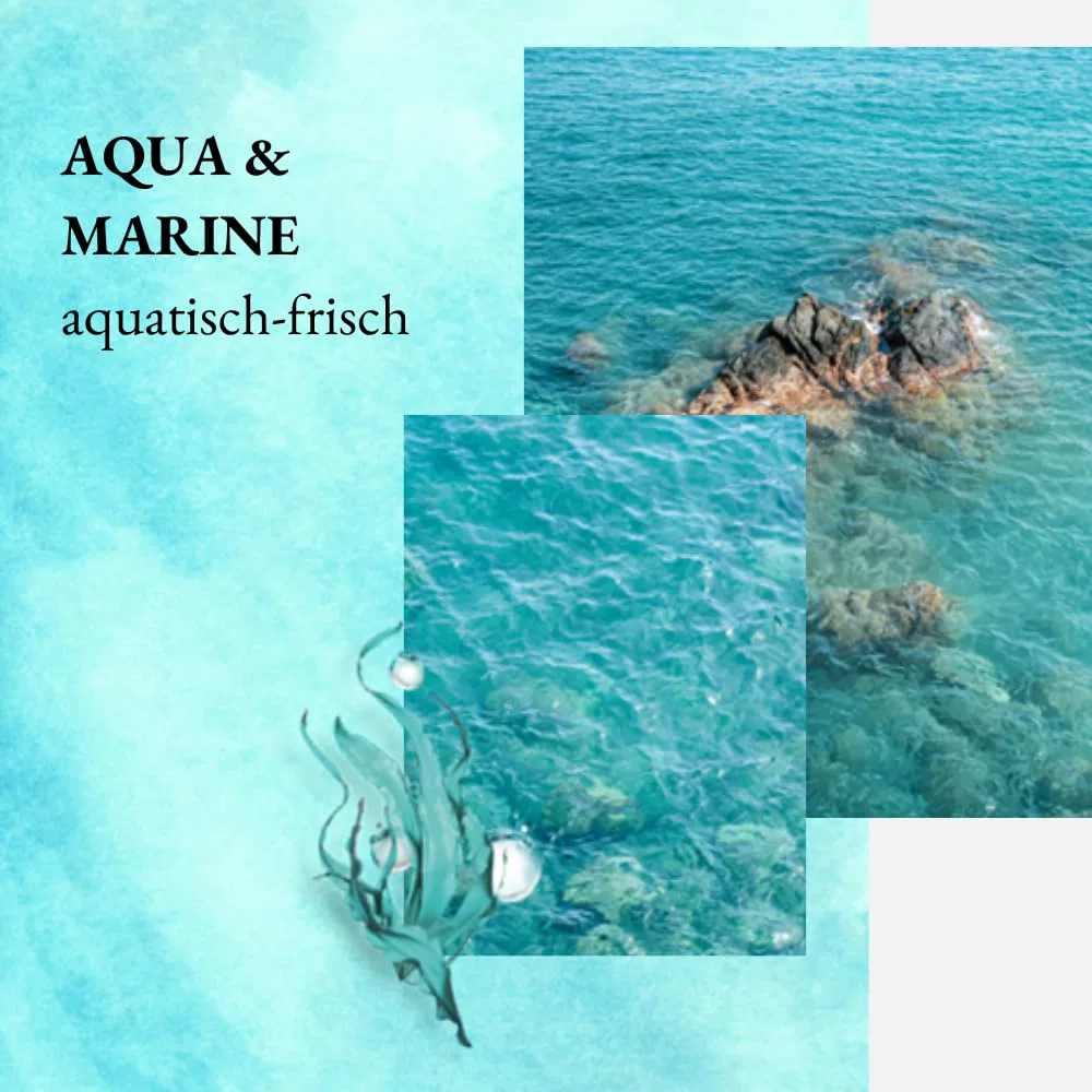 Набор гелей для душа we:care² Aqua/Marine, 6 x 250 мл We:Care2, Aqua/Navy — фото 2
