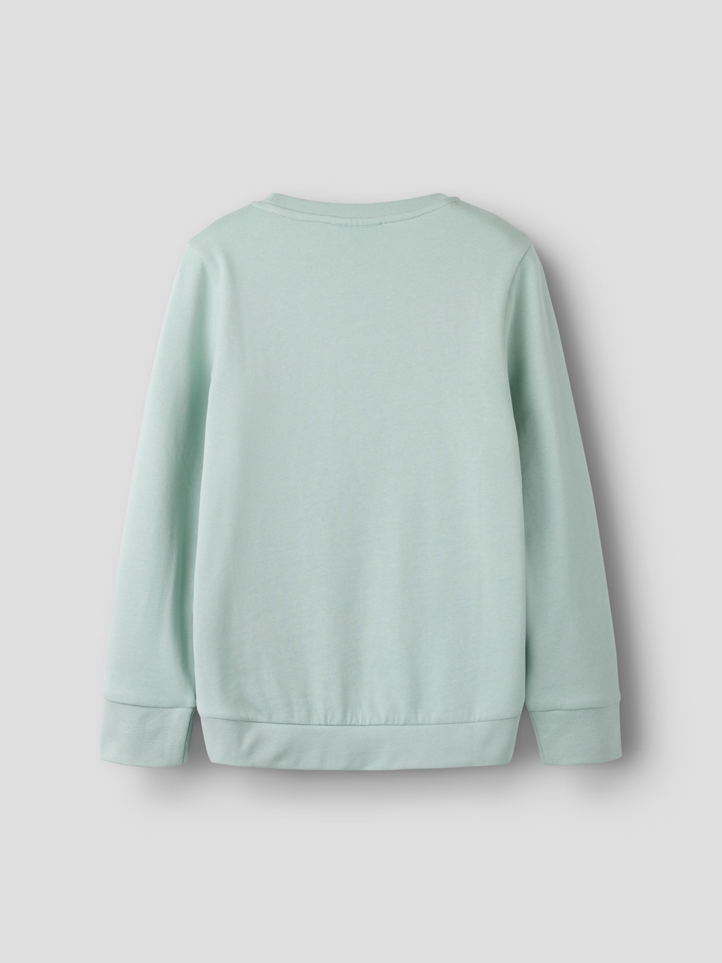 NAME IT Толстовка в цвете Fir, Pastel Green — фото 2