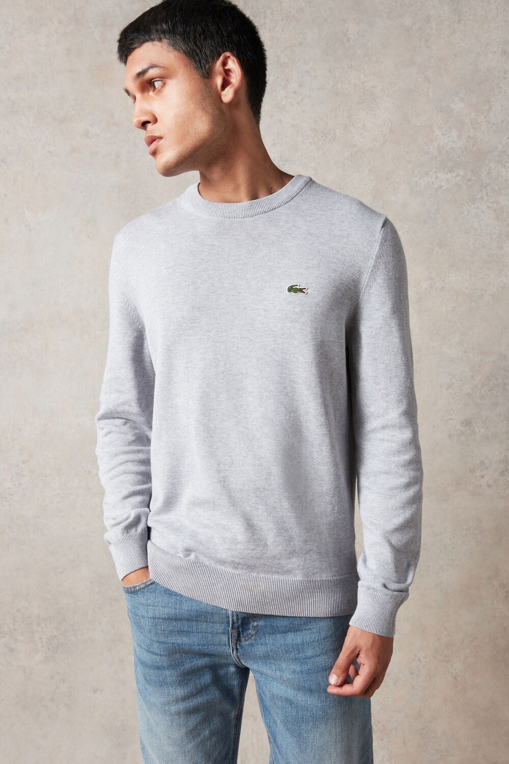 

С круглым вырезом Lacoste, серый
