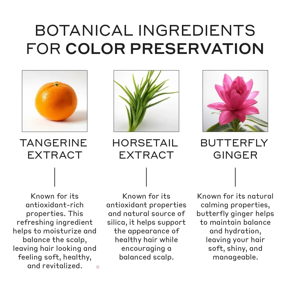 ZENAGEN Eclipse Color Preservation + Gray Support Conditioner для сохранения цвета и ухода за сединой, усиливает яркость, питает и укрепляет волосы, 200 мл, Grey — фото 3