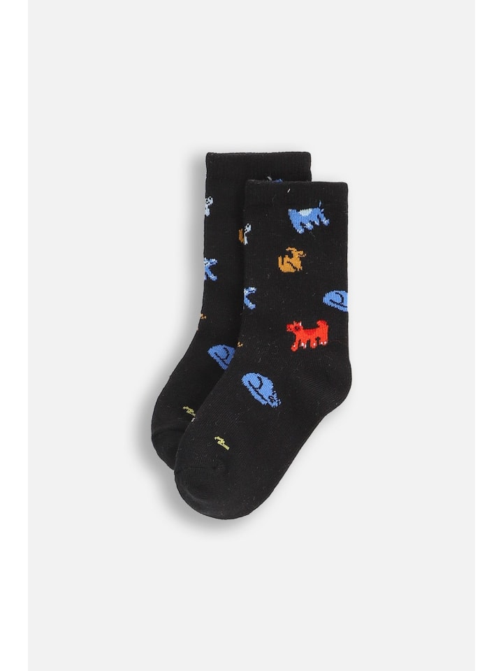 

Coccodrillo Разноцветные носки