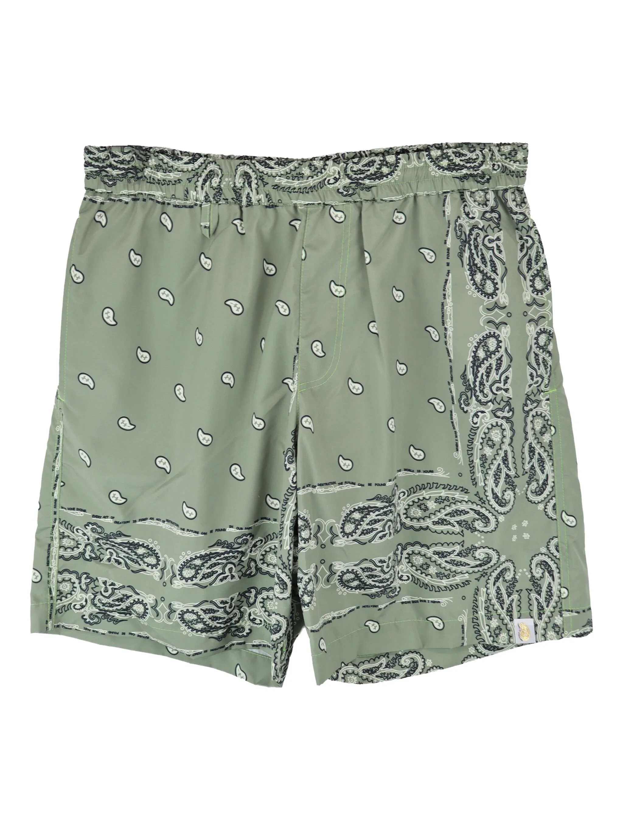 

Плавки-шорты с принтом пейсли The World Is Yours, зеленый