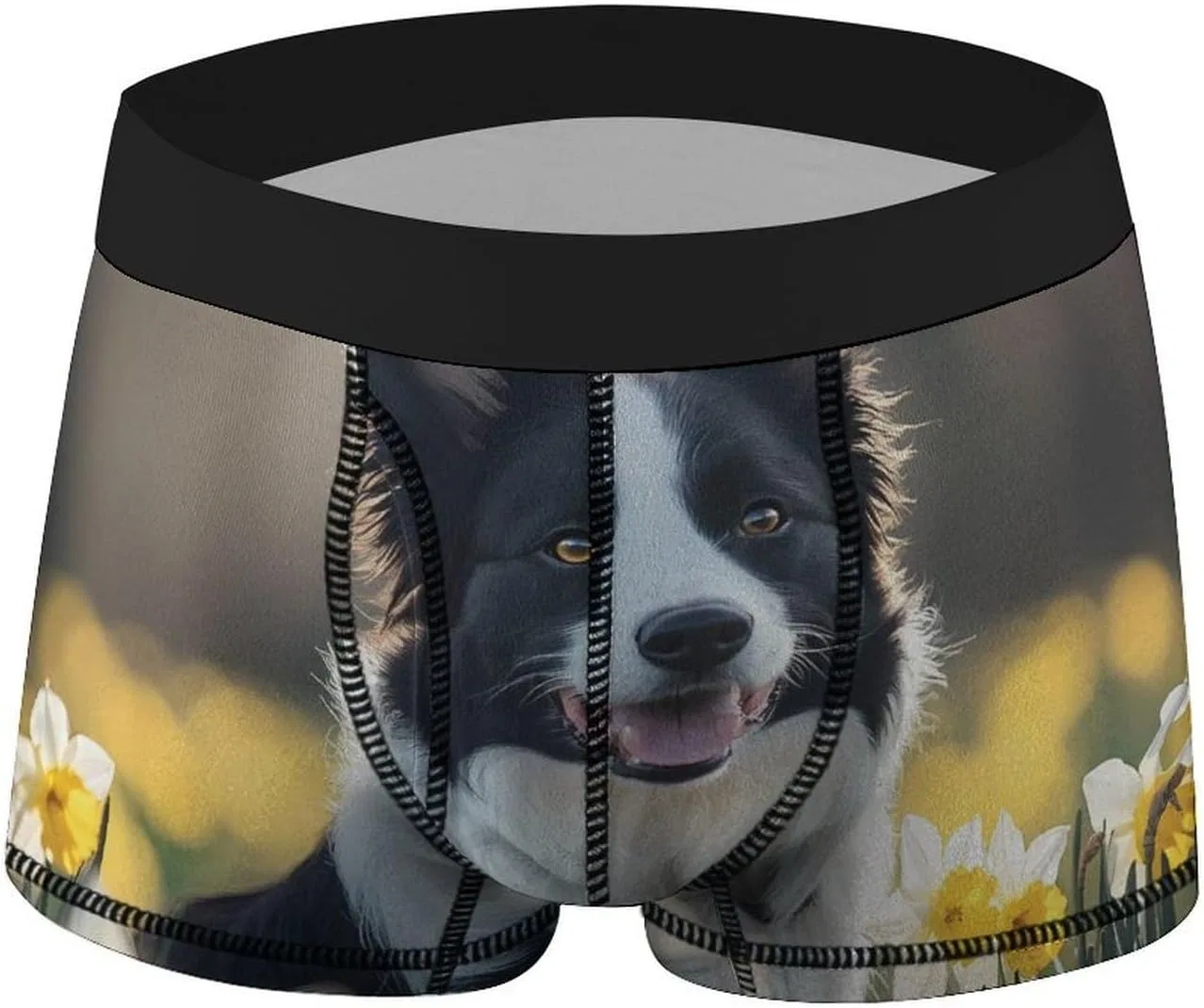 Боксеры Border Collie, Style — фото 2