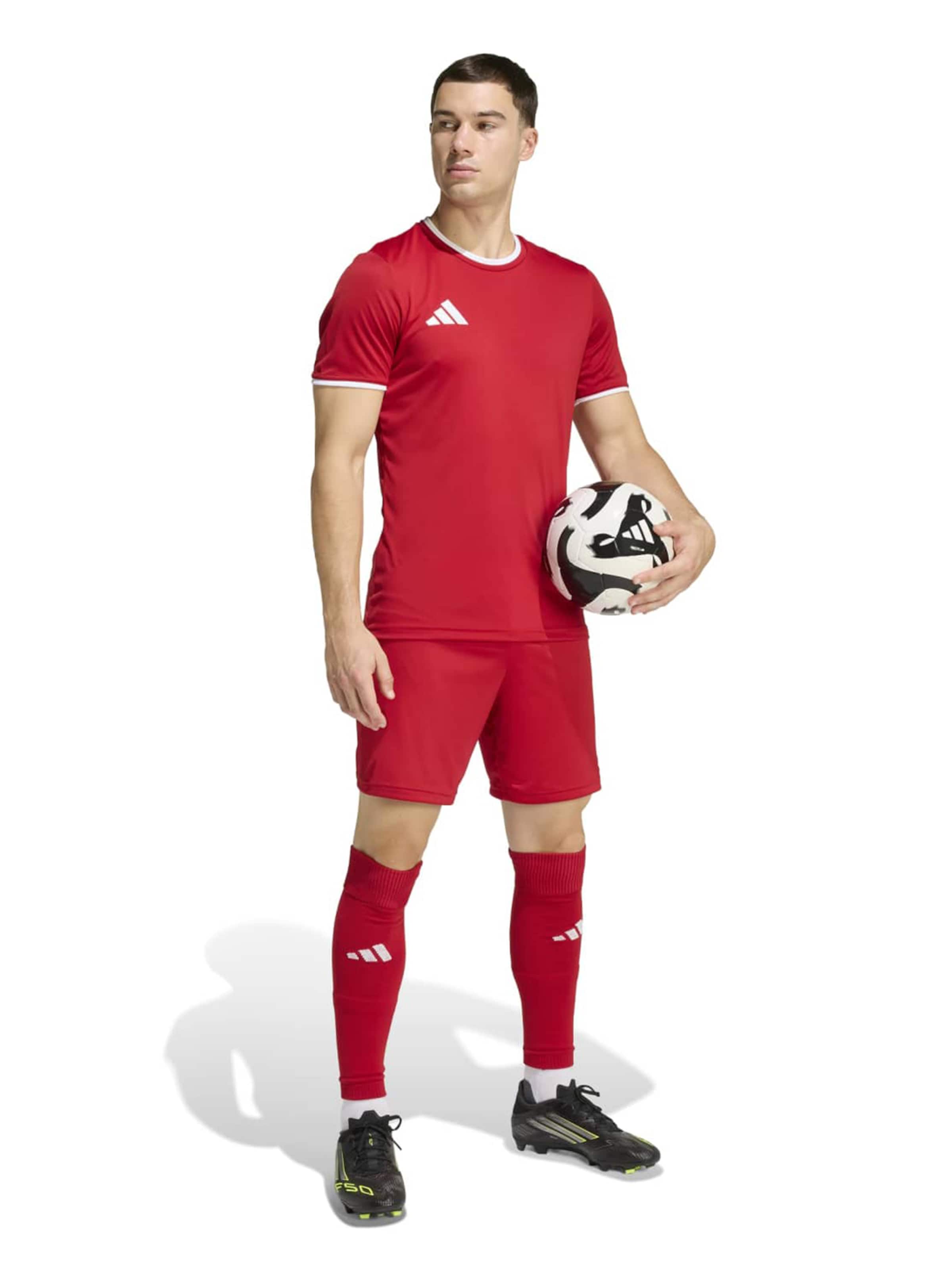 Adidas Performance Шорты для тренировок Regular 'ENT26' в красном цвете — фото 3