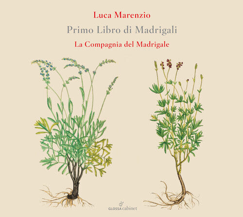 

CD диск Marenzio / Compagnia Del Madrigale: Primo Libro Di Madrigali