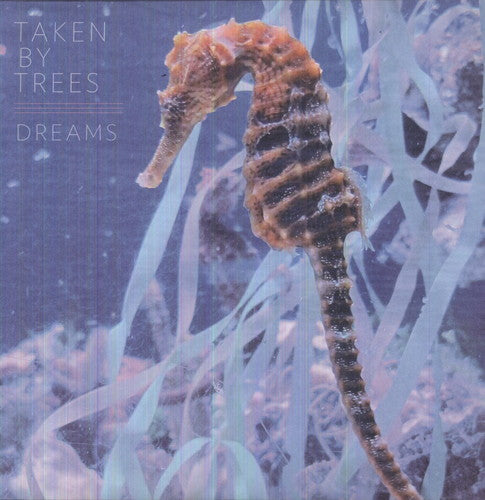 

Сингл 12" Taken by Trees: Dreams