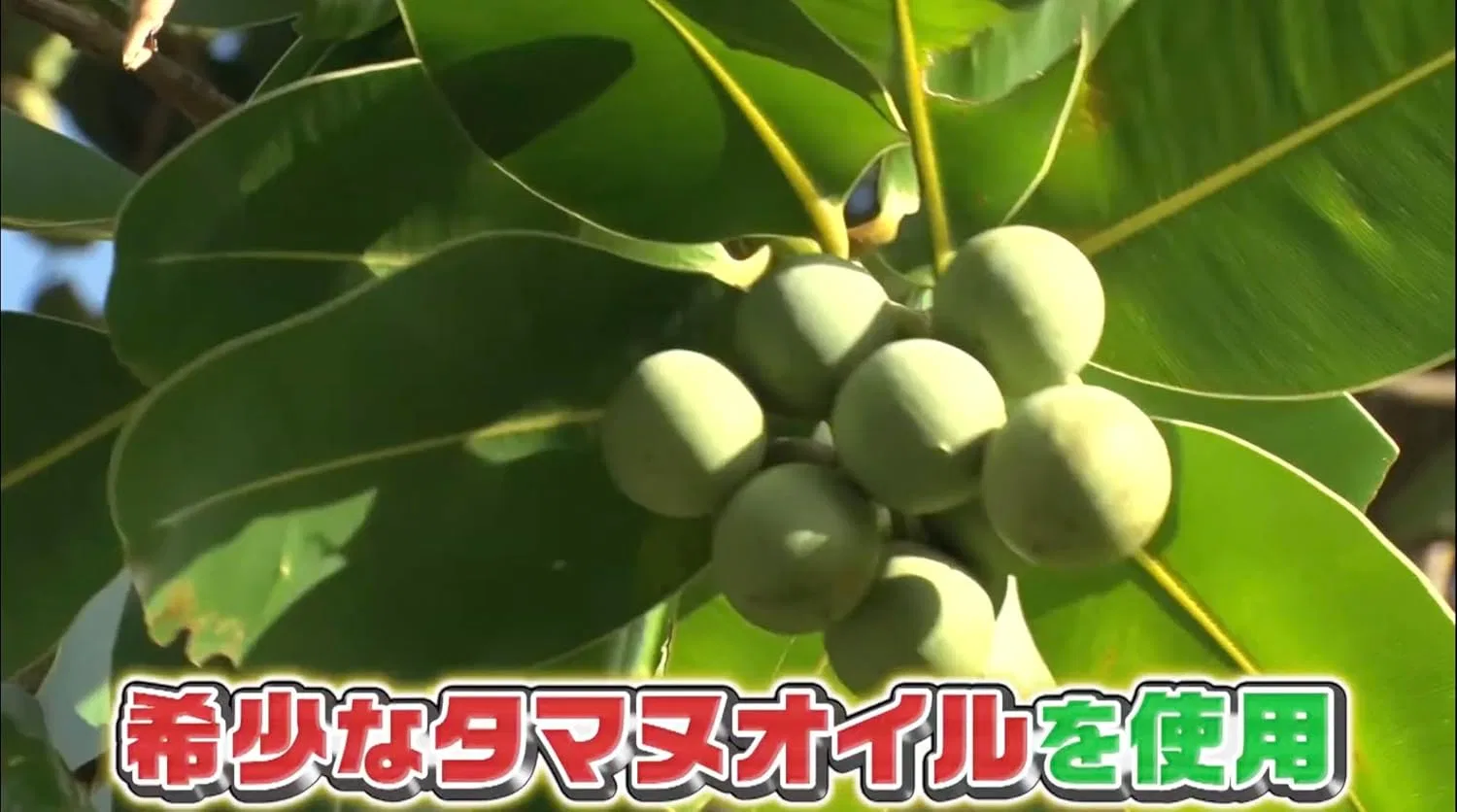 Масло для тела Tamanu Oil 100% натуральное, 30 мл — фото 3