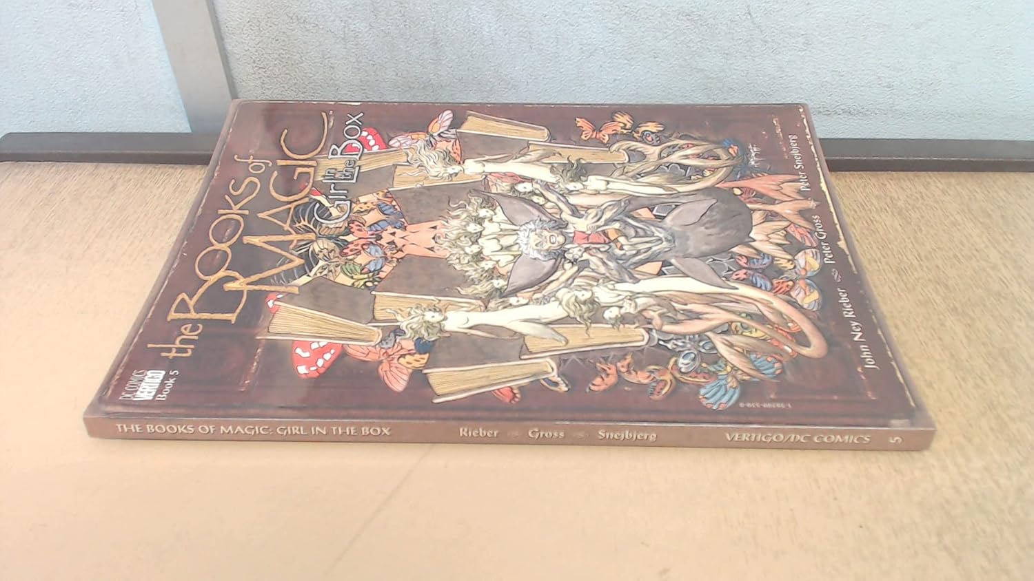 

Books of Magic: The: Girl in the Box - Book 5 (Vertigo)