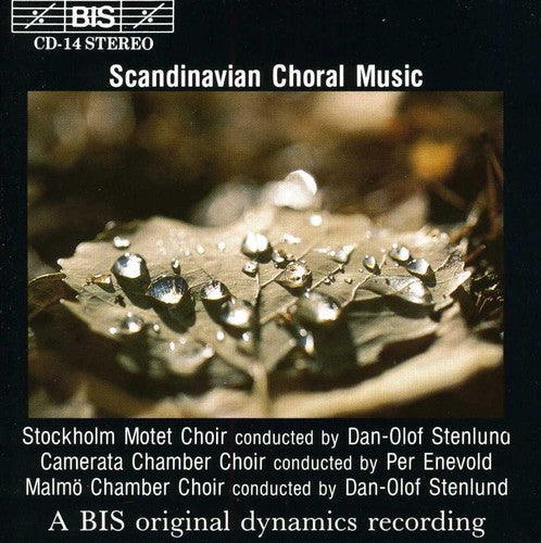 

CD диск Scandinavian Choral Music / Various: Scandinavian Choral Music / Various