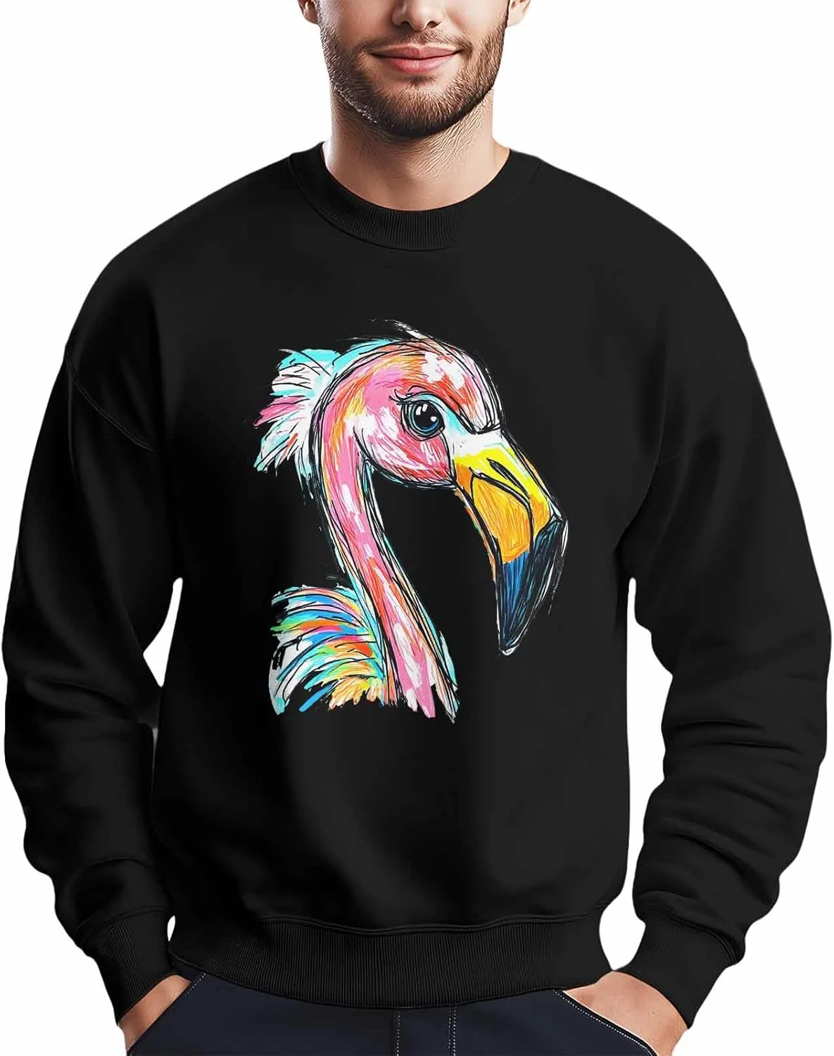 

Мужской свитшот с рисунком фламинго, Hand Drawn Style, Crewneck Winvebermior