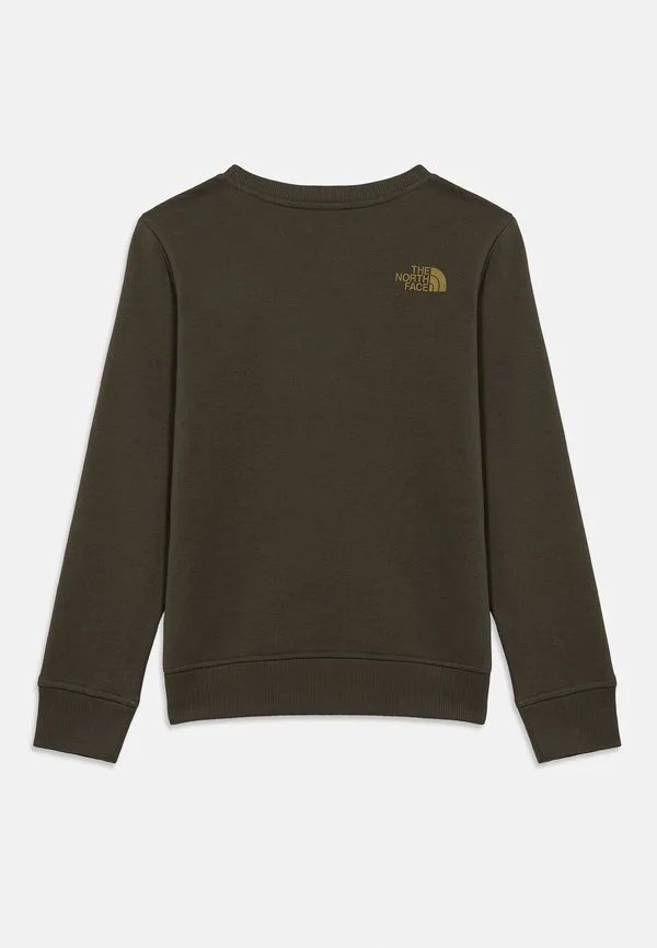 Унисекс толстовка drew peak crew The North Face, New Taupe Green — фото 2