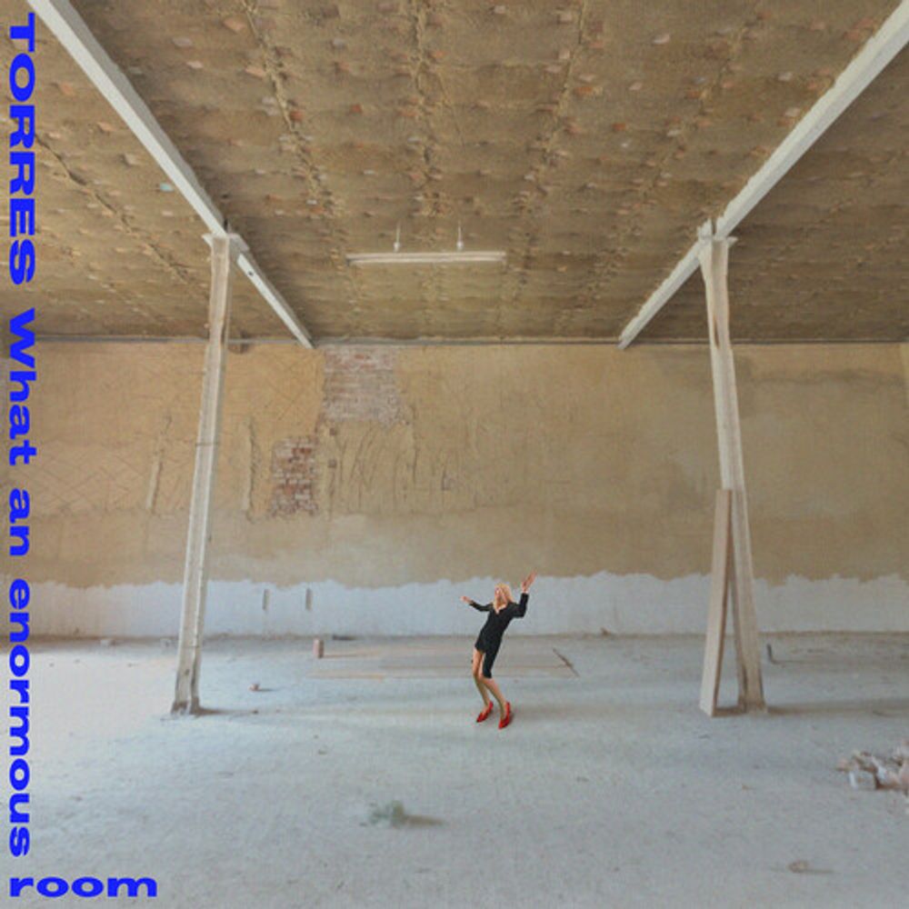 

Виниловая пластинка LP What an enormous room [Blue Jay Blue & White Vinyl] - Torres