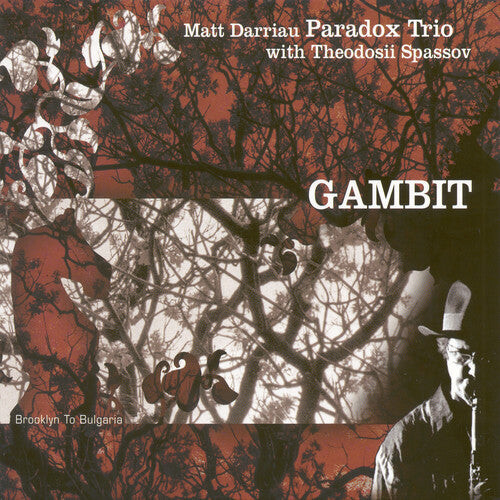 

CD диск Darriau, Matt Paradox Trio: Gambit
