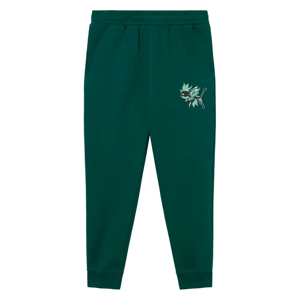 

Брюки Puma Graphic Flowered sweat, зеленый