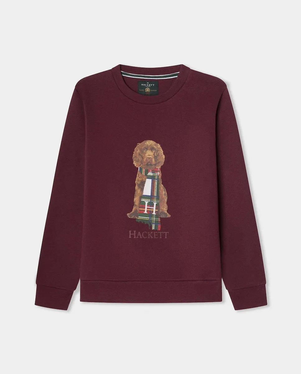 

Детская толстовка Harry Crew Hackett, красный