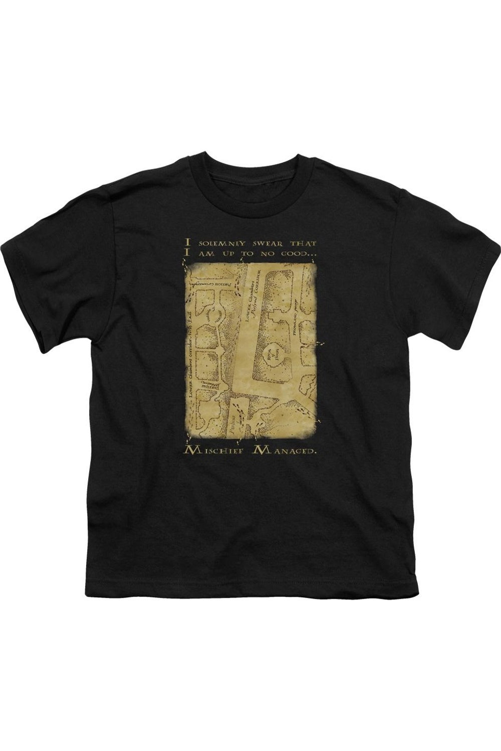 

Футболка с принтом "Карта Мародеров" из Гарри Поттера Gildan, черный