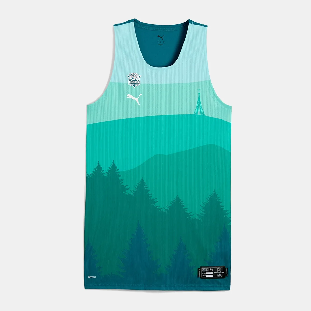 

Мужская футбольная футболка Baskonia Pro Alternate Jersey Puma, зеленый